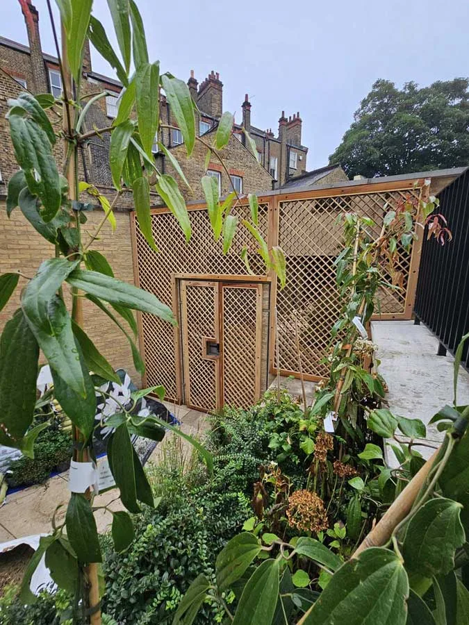 Mirrored Trellis — Chelsea